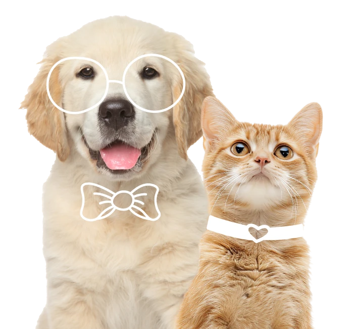 banner-happypet-vaccine-package-02 Banner Happypet Vaccine Package 02