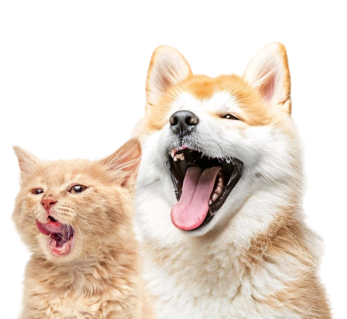 happypet-spay-neuter-package-new-02 Happypet Spay Neuter Package New 02