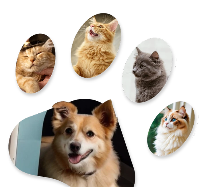 happypet-wiggle-welcome-pack-banner2 Happypet Wiggle Welcome Pack Banner2