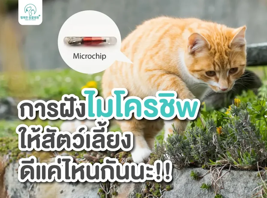 Microchip Pet Happypet