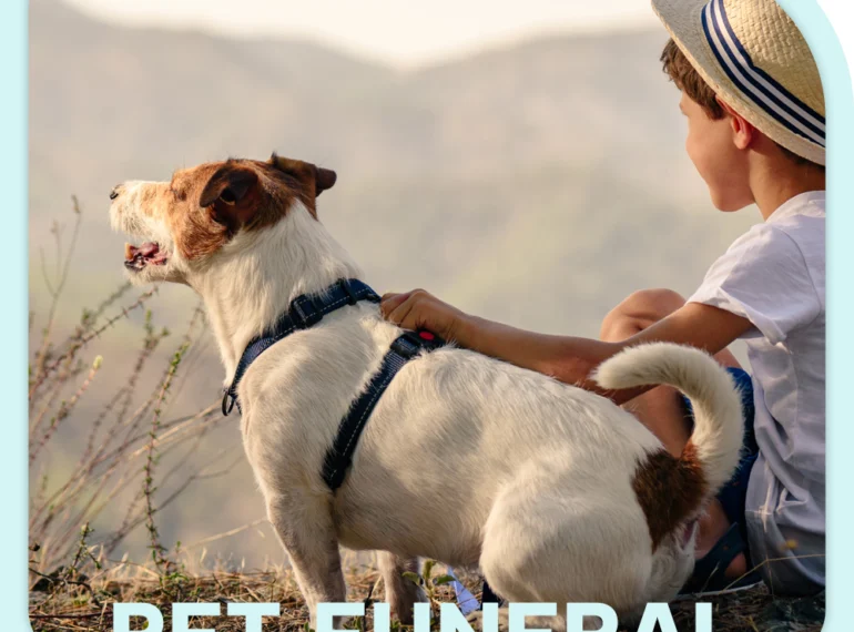 Services Pet Funeral