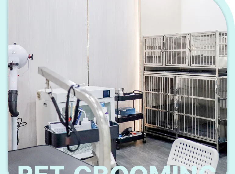 Services Pet Grooming