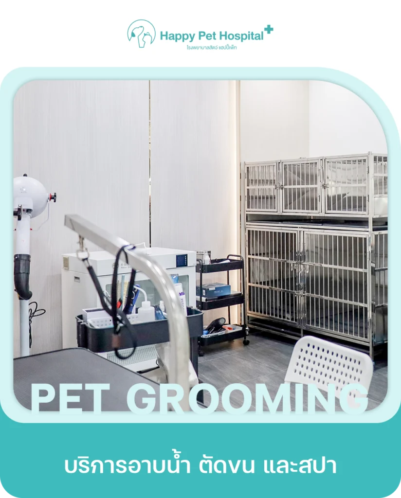 Services Pet Grooming