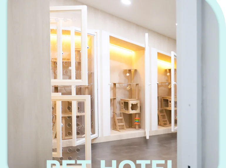 Pet Hotel