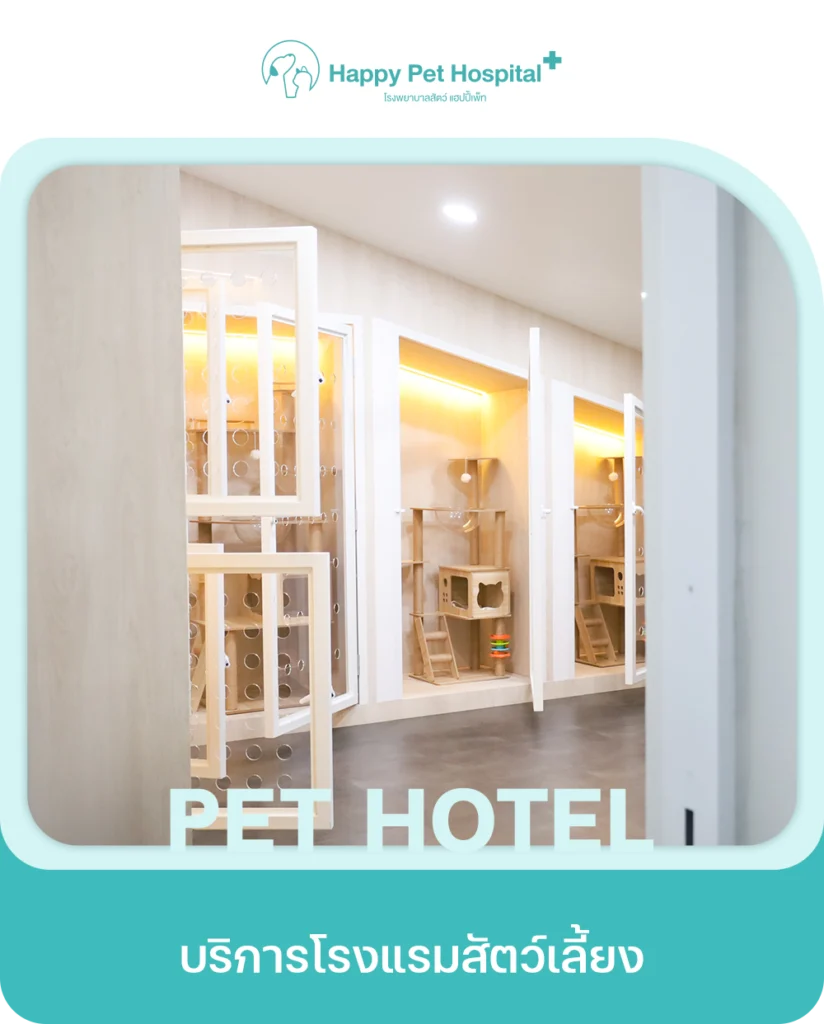Services Pet Hotel
