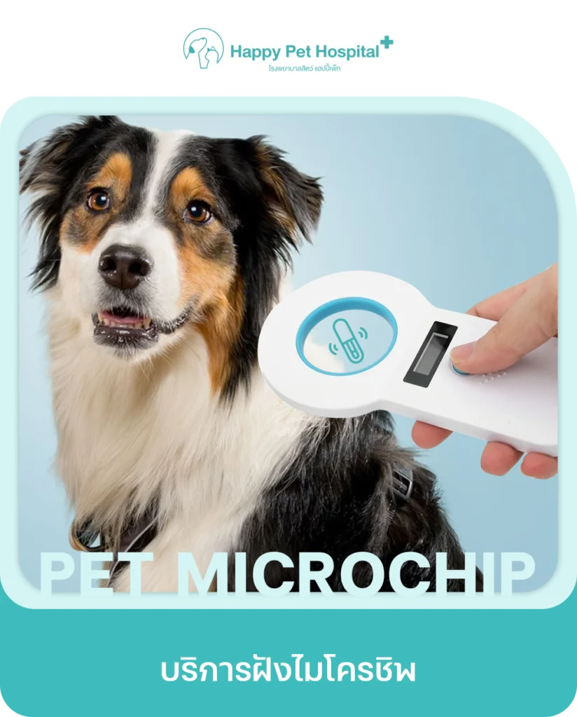 Services Pet Microship