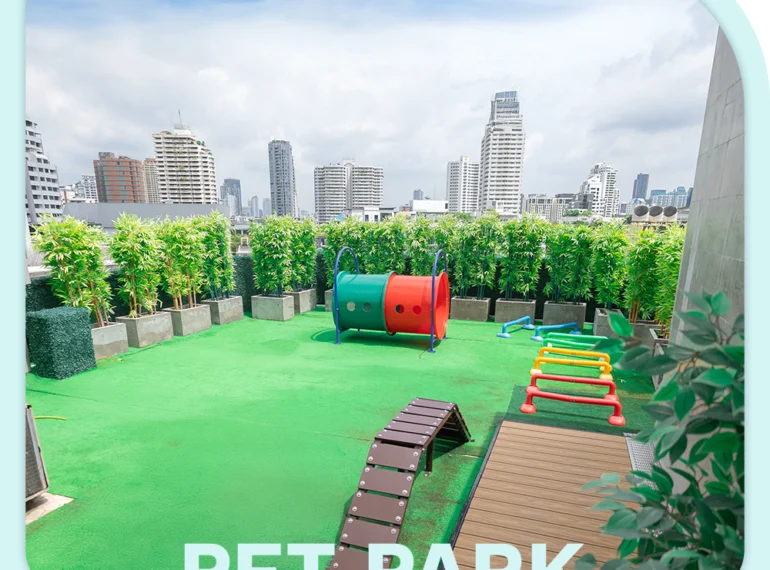 Services Pet Park