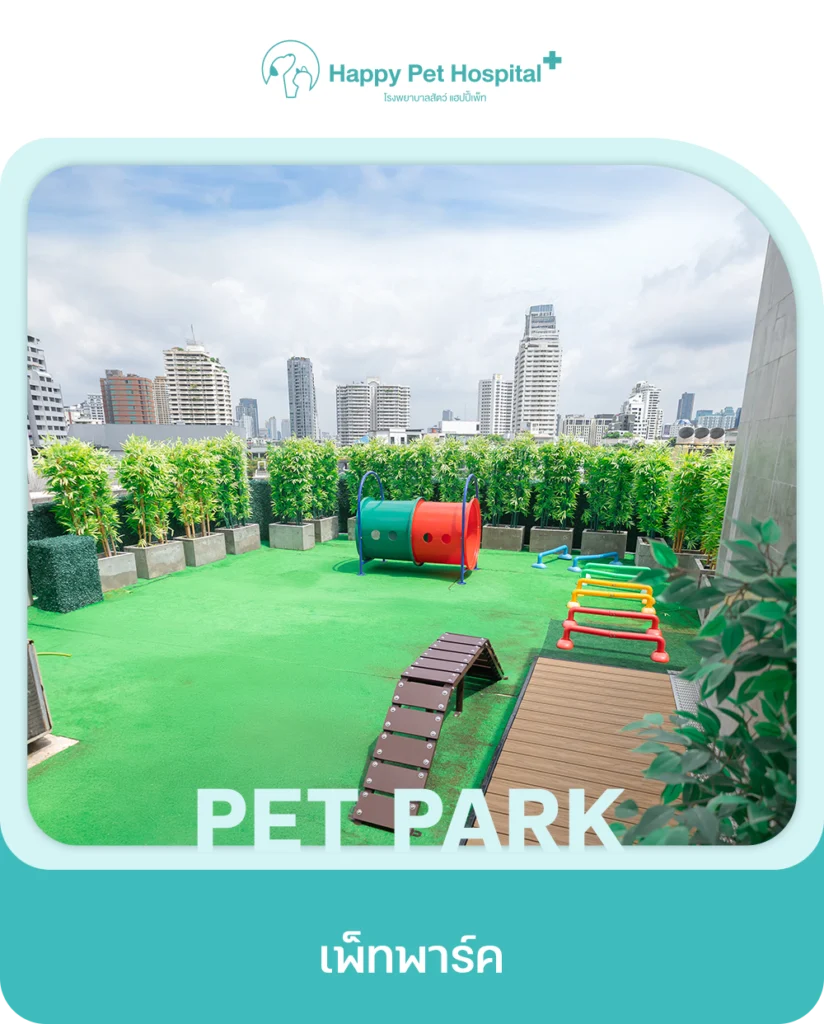 Services Pet Park