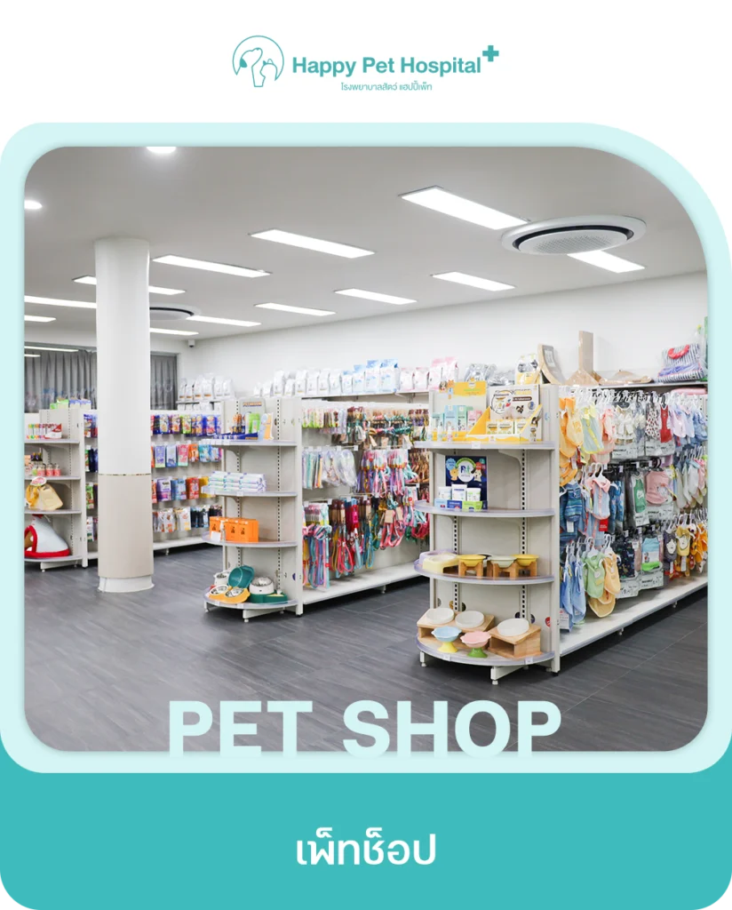 Services Pet Shop