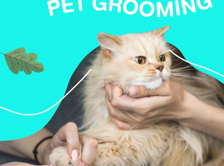 Services Pet Grooming