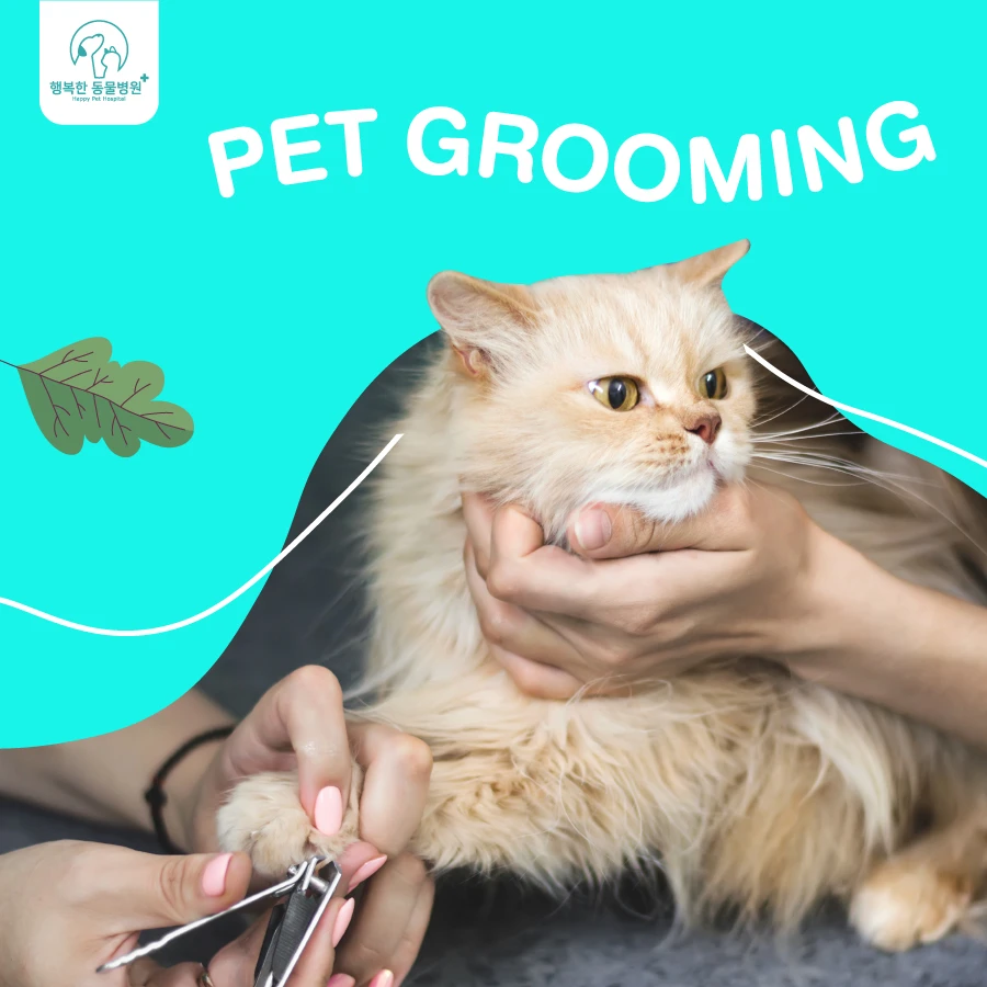 Services Pet Grooming