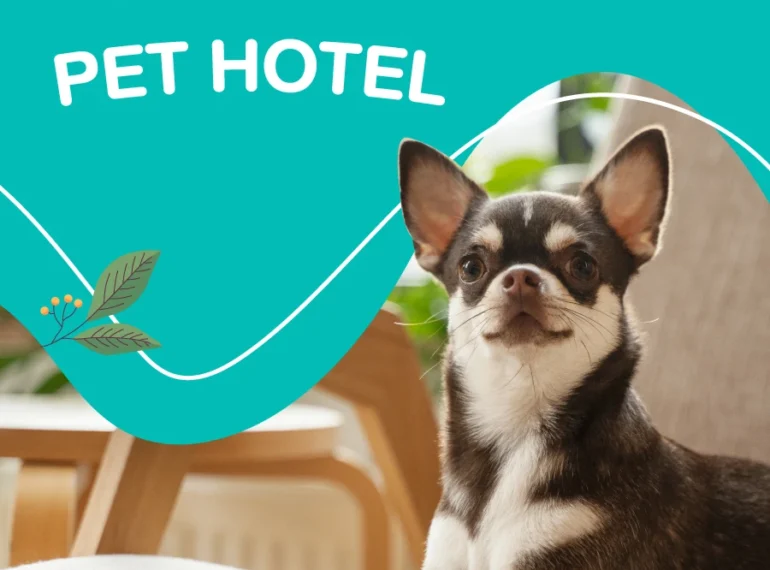 Services Pet Hotel