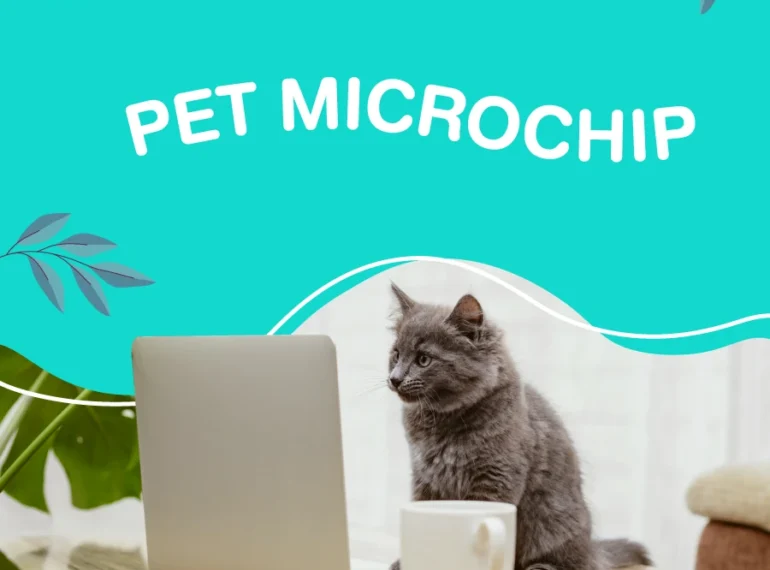 Services Pet Microship