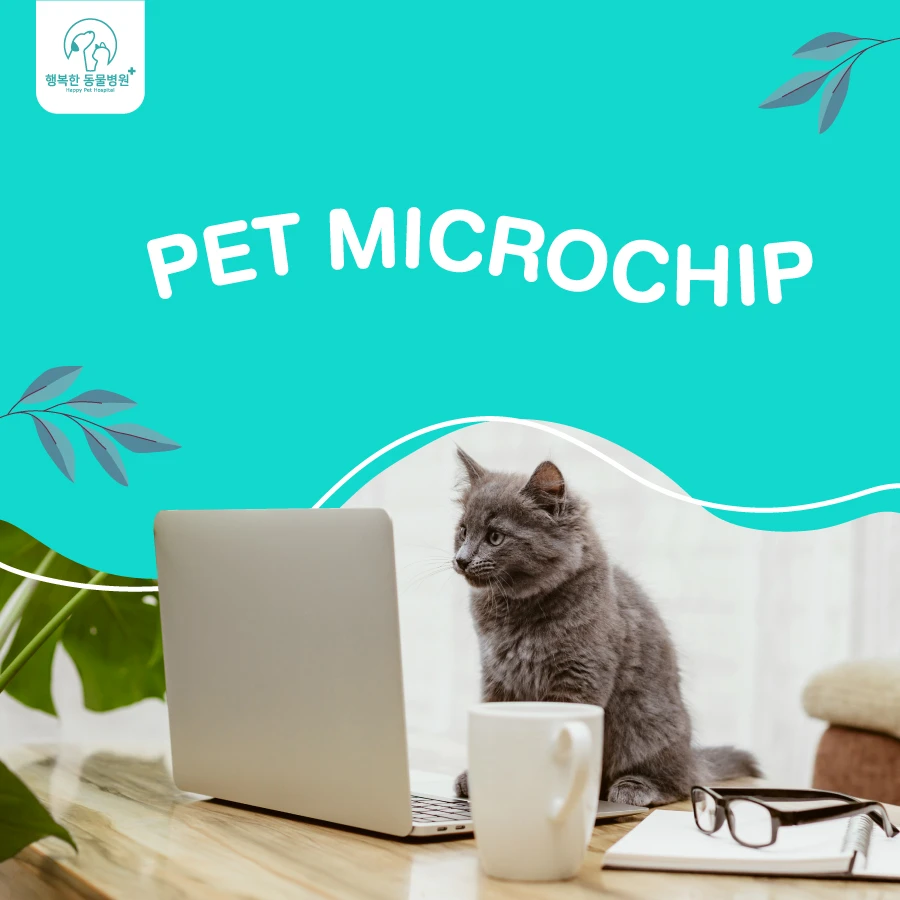 Services Pet Microship