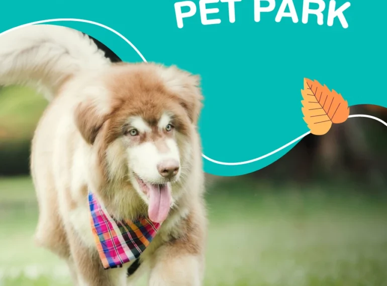 Services Pet Park