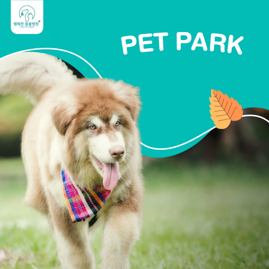 Services Pet Park