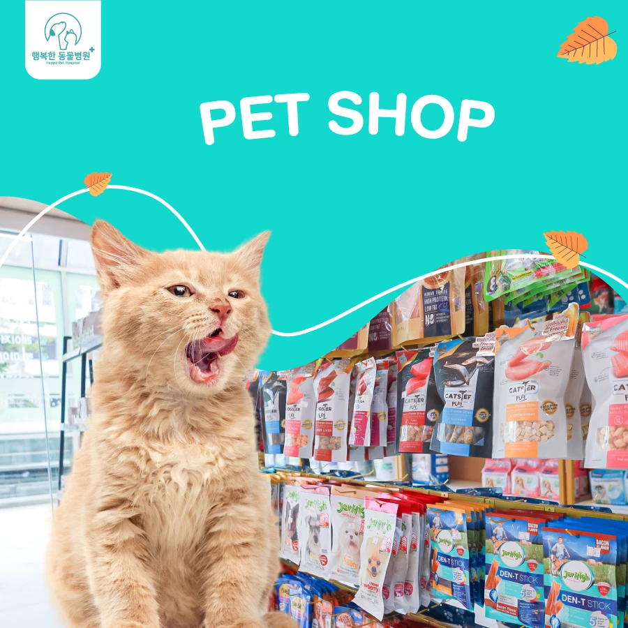 Services Pet Shop