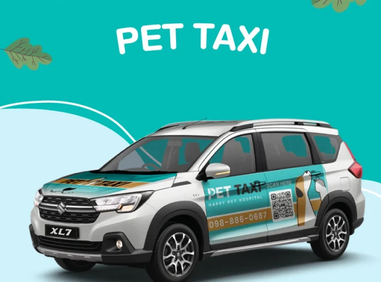 Services Pet Taxi