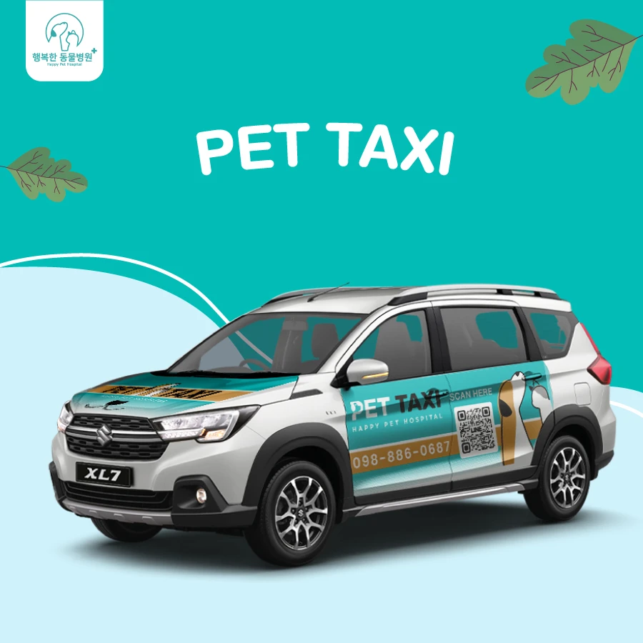 Services Pet Taxi