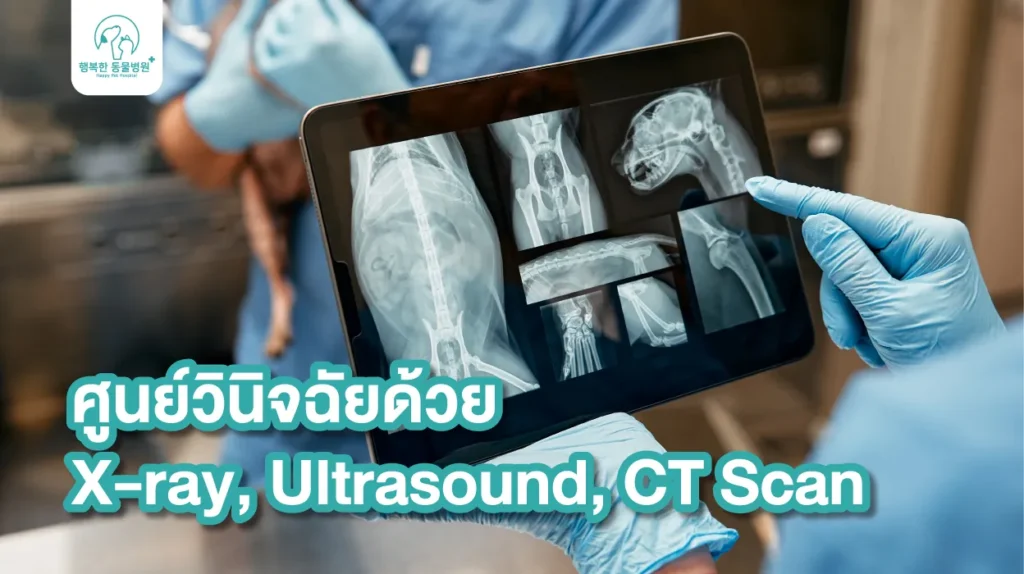 Xray Ultrasound Ct Scan