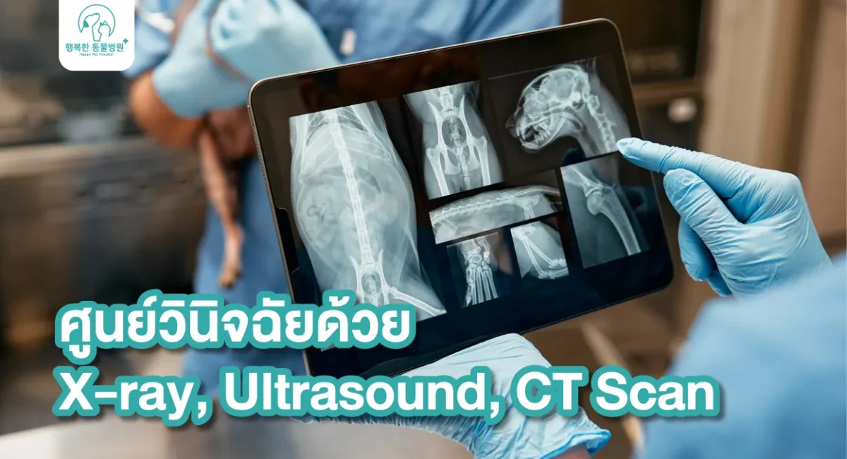 Xray Ultrasound Ct Scan