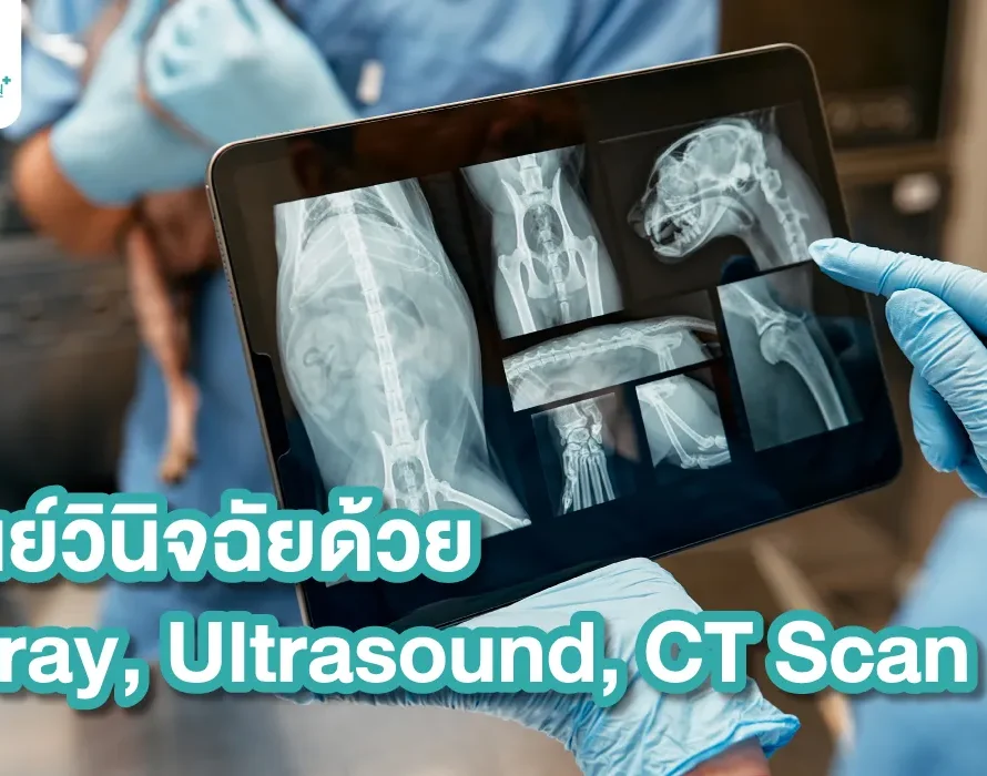 Xray Ultrasound Ct Scan