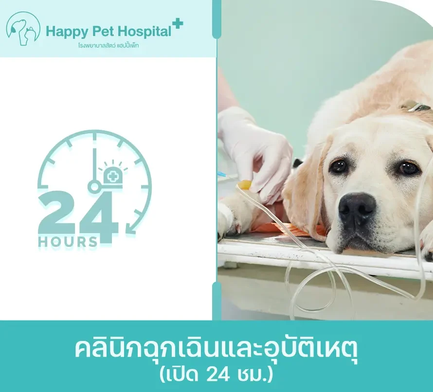 คลินิกฉุกเฉินและอุบัติเหตุ (เปิด 24 ชม