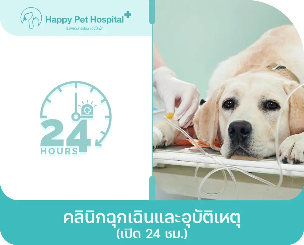คลินิกฉุกเฉินและอุบัติเหตุ (เปิด 24 ชม