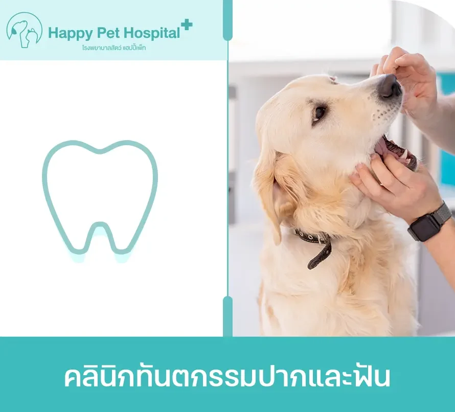 คลินิกทันตกรรมปากและฟัน