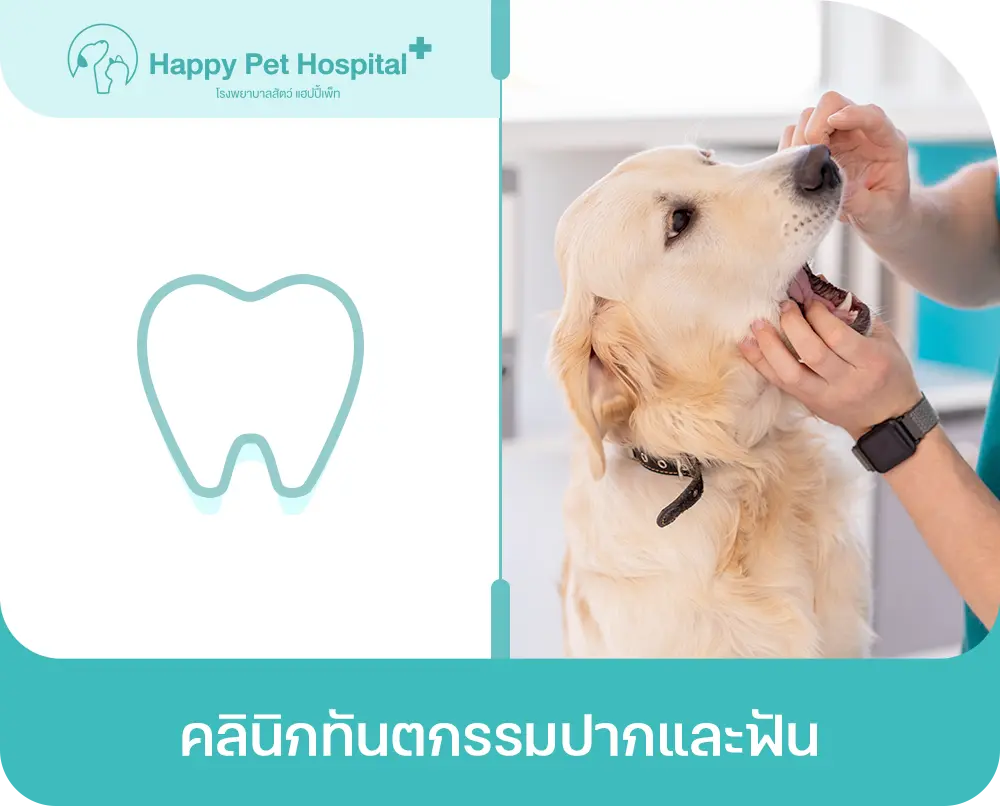 คลินิกทันตกรรมปากและฟัน