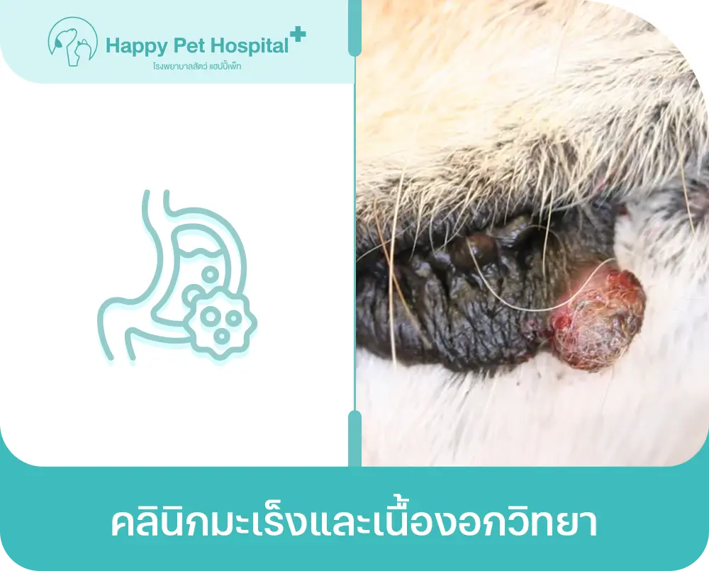 คลินิกมะเร็งและเนื้องอกวิทยา