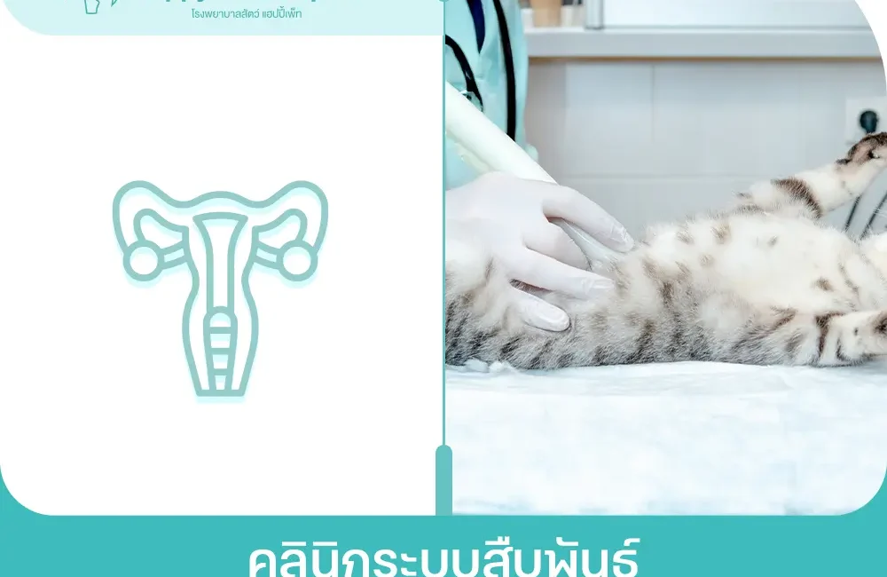 คลินิกระบบสืบพันธุ์และการดูแลก่อนคลอด