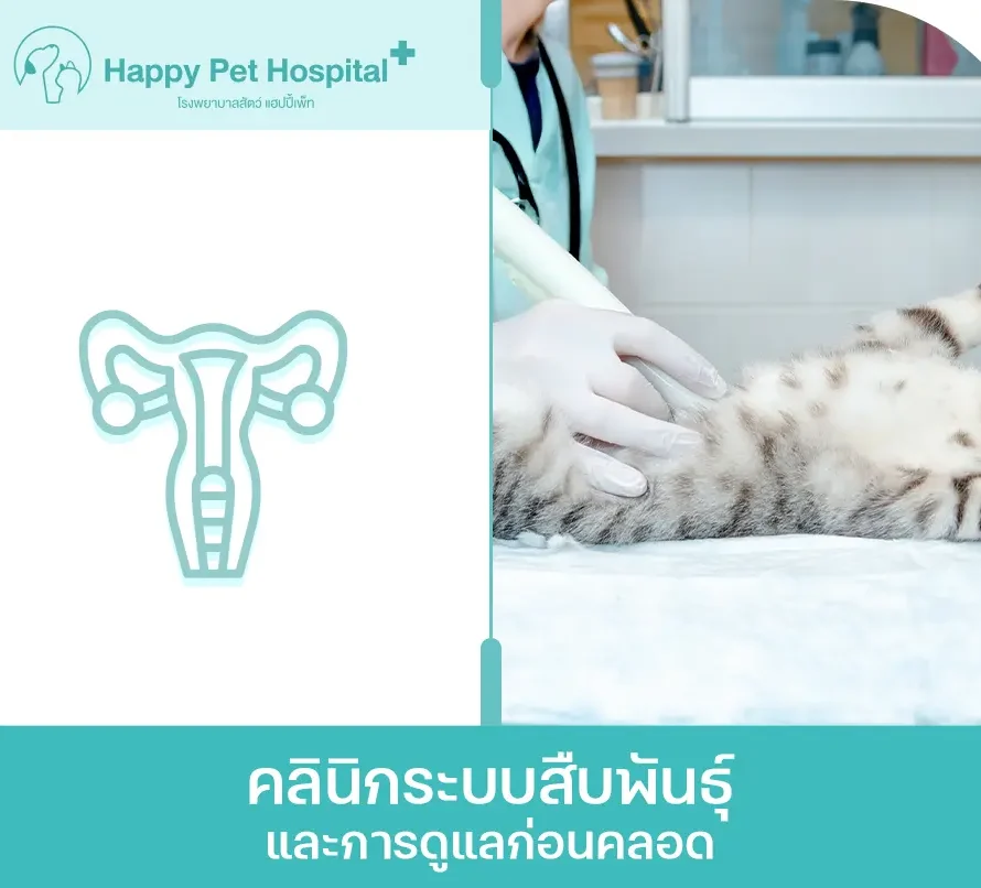 คลินิกระบบสืบพันธุ์และการดูแลก่อนคลอด