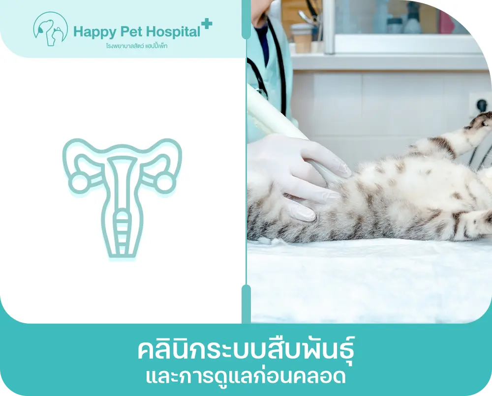 คลินิกระบบสืบพันธุ์และการดูแลก่อนคลอด