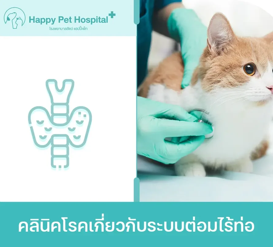 คลินิคโรคเกี่ยวกับระบบต่อมไร้ท่อ
