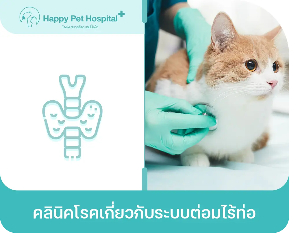 คลินิคโรคเกี่ยวกับระบบต่อมไร้ท่อ