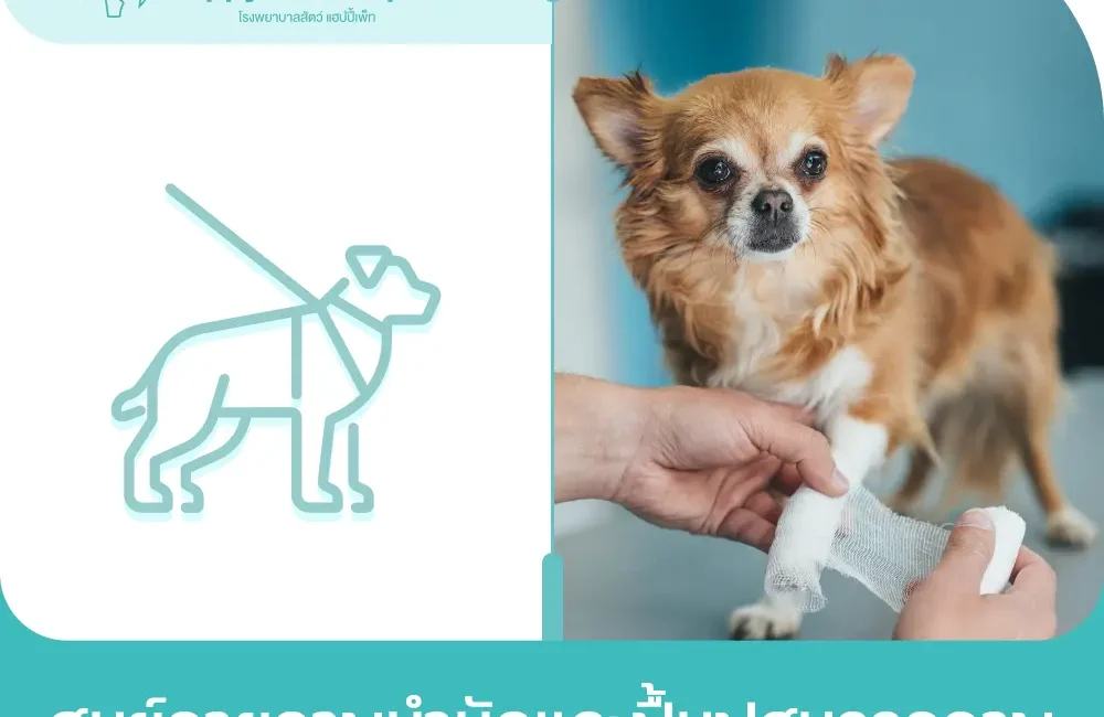 ศูนย์กายภาพบำบัดและฟื้นฟูสมรรถภาพ