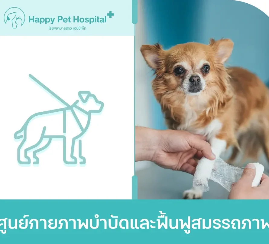 ศูนย์กายภาพบำบัดและฟื้นฟูสมรรถภาพ