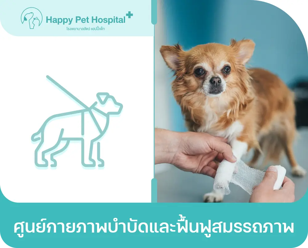 ศูนย์กายภาพบำบัดและฟื้นฟูสมรรถภาพ