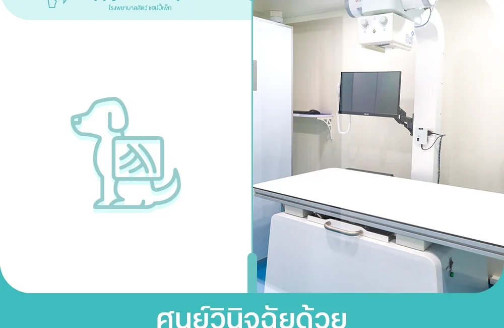 ศูนย์วินิจฉัยด้วย X Ray, Ultrasound, Ct Scan