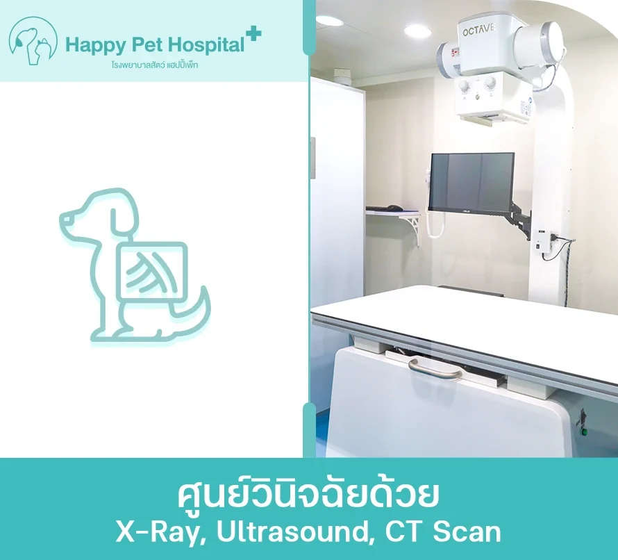 ศูนย์วินิจฉัยด้วย X Ray, Ultrasound, Ct Scan