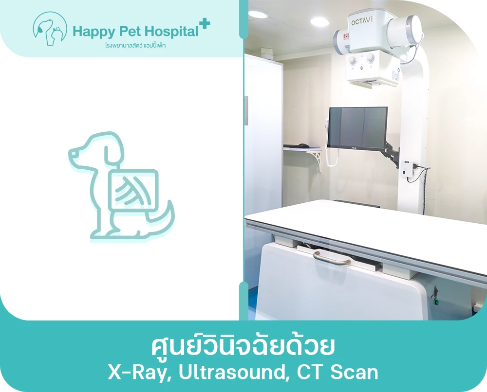 ศูนย์วินิจฉัยด้วย X Ray, Ultrasound, Ct Scan