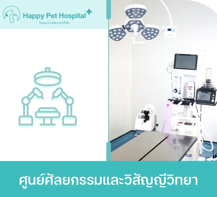 ศูนย์ศัลยกรรมและวิสัญญีวิทยา