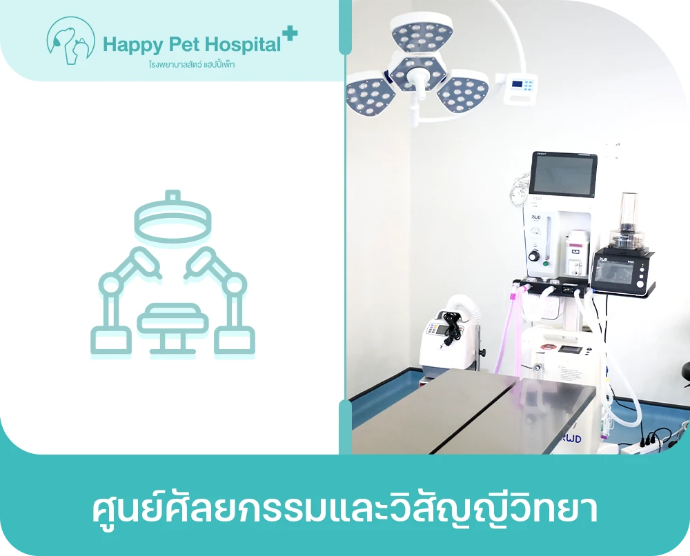 ศูนย์ศัลยกรรมและวิสัญญีวิทยา