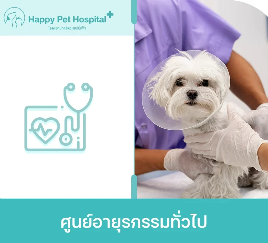ศูนย์อายุรกรรมทั่วไป