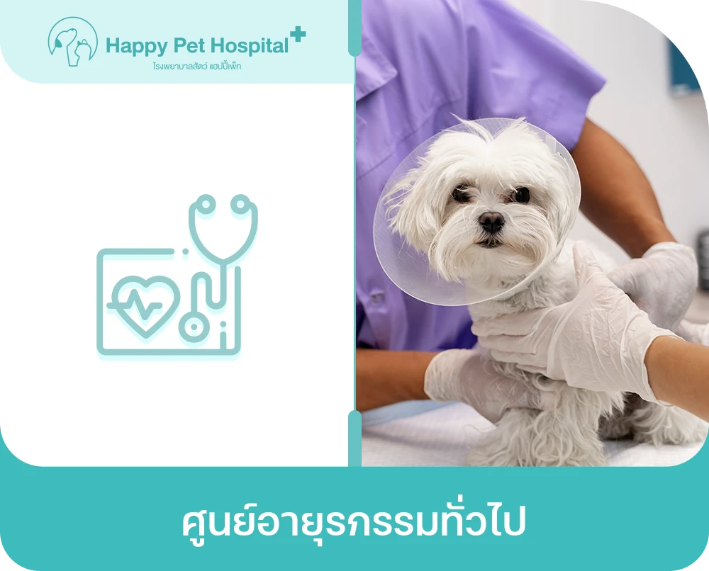 ศูนย์อายุรกรรมทั่วไป