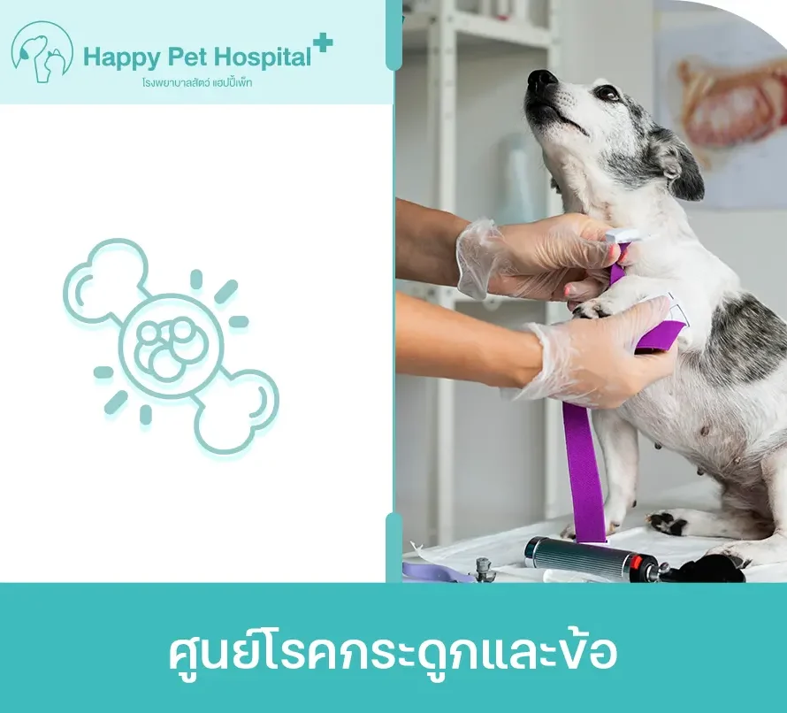ศูนย์โรคกระดูกและข้อ