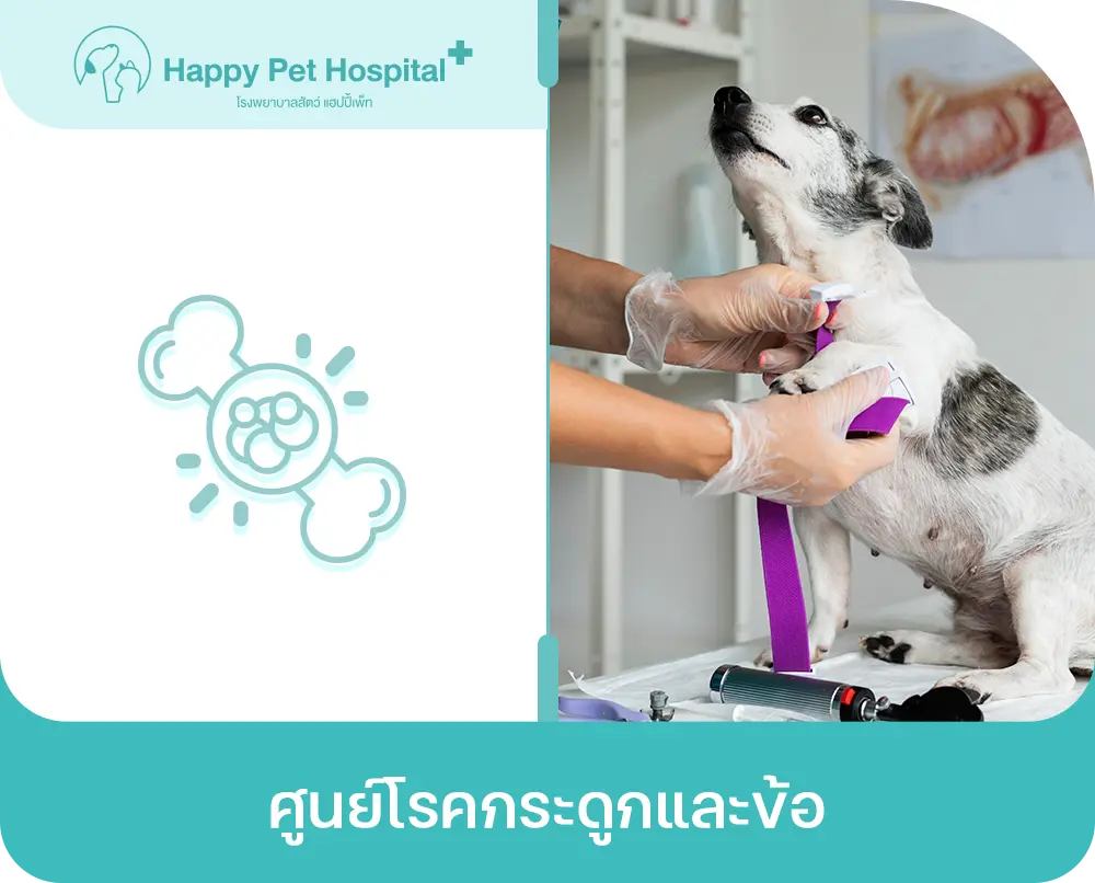 ศูนย์โรคกระดูกและข้อ