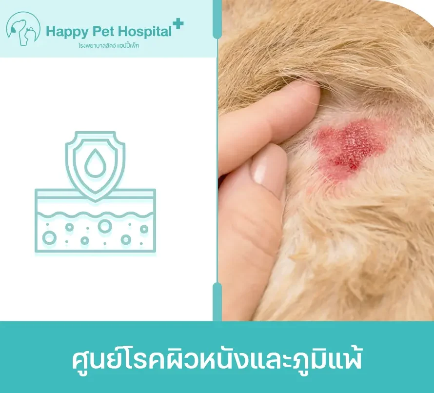 ศูนย์โรคผิวหนังและภูมิแพ้