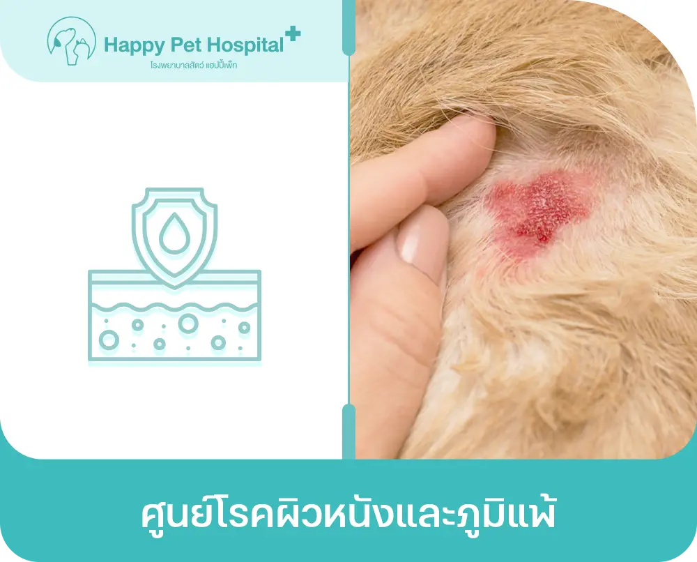 ศูนย์โรคผิวหนังและภูมิแพ้